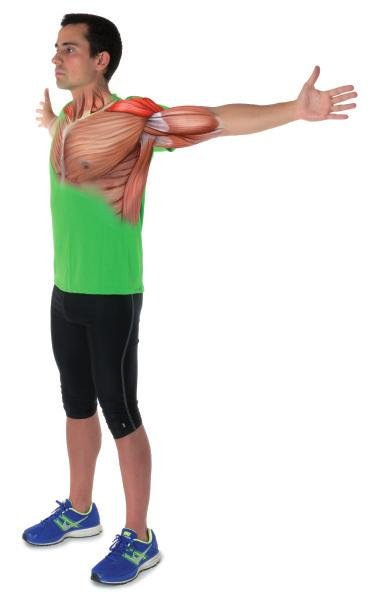 O QUE É E COMO FAZER O TREINO FST-7 EXEMPLOS PRÁTICOS.