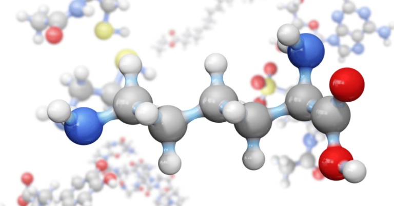 O que acontece se você tomar creatina e não malhar?