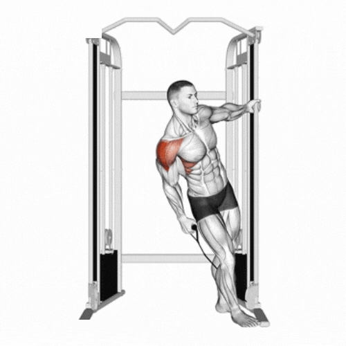 7 melhores exercícios de deltoide lateral para hipertrofia