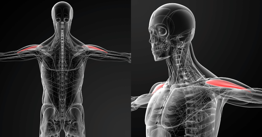 7 melhores exercícios de deltoide lateral para hipertrofia