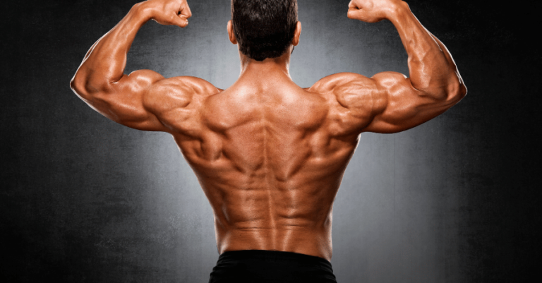 Treino avançado de costas do Mr Olympia Cbum (completo)